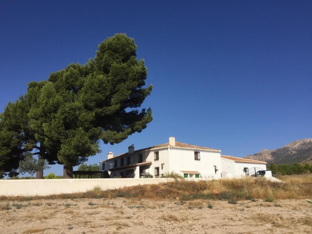 B&B Cortijo El Ciruelo Chirivel Eksteriør bilde