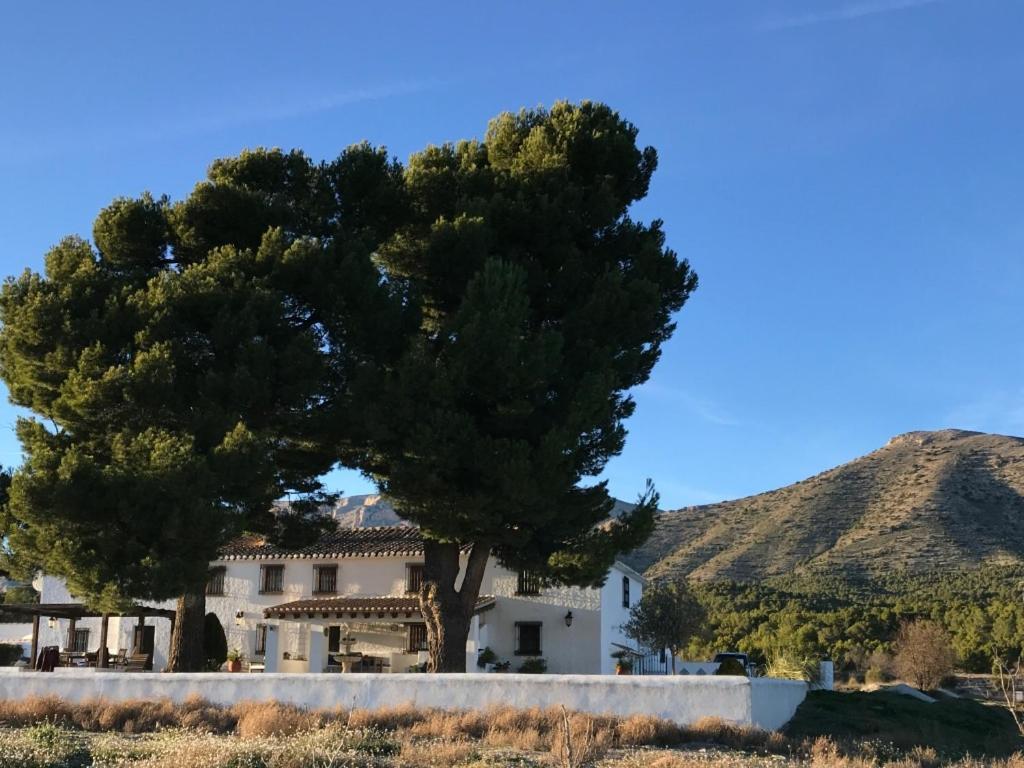 B&B Cortijo El Ciruelo Chirivel Eksteriør bilde