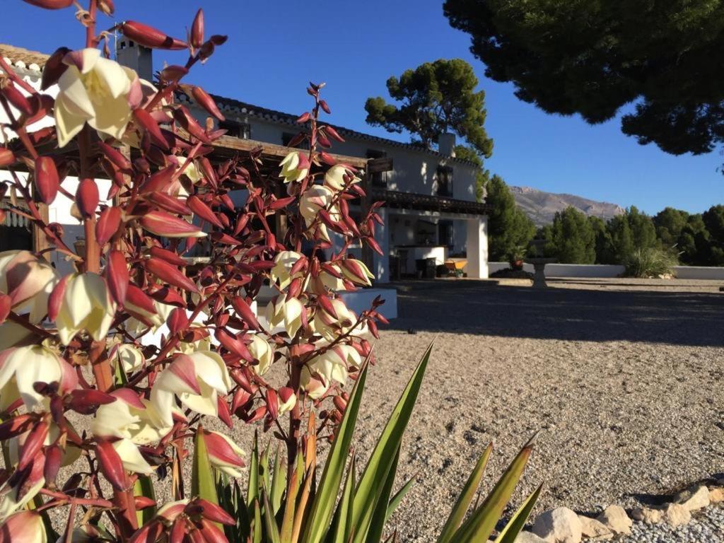 B&B Cortijo El Ciruelo Chirivel Eksteriør bilde